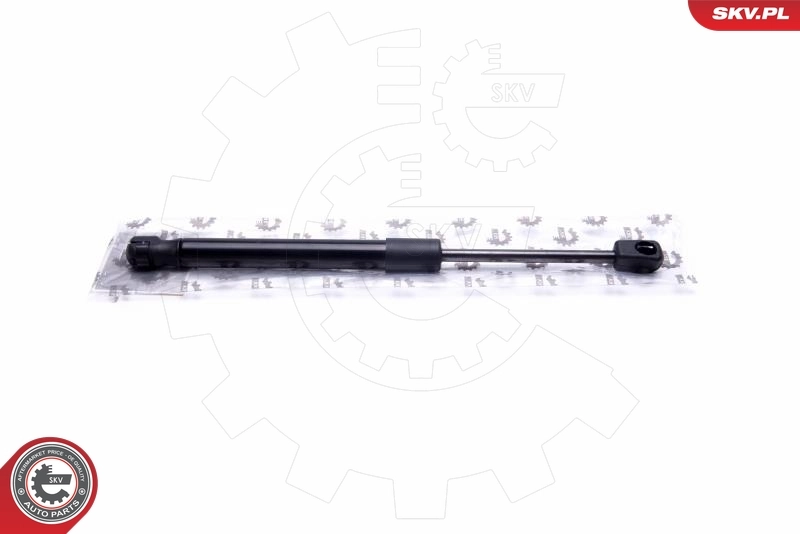 Gas Spring, boot/cargo area